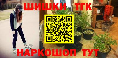 круглые Лесосибирск