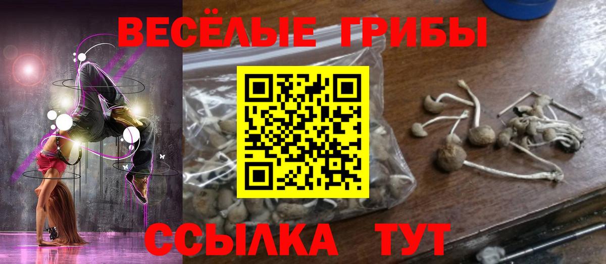 Вольск  Псилоцибиновые грибы Psilocybine cubensis  Вход с VPN 