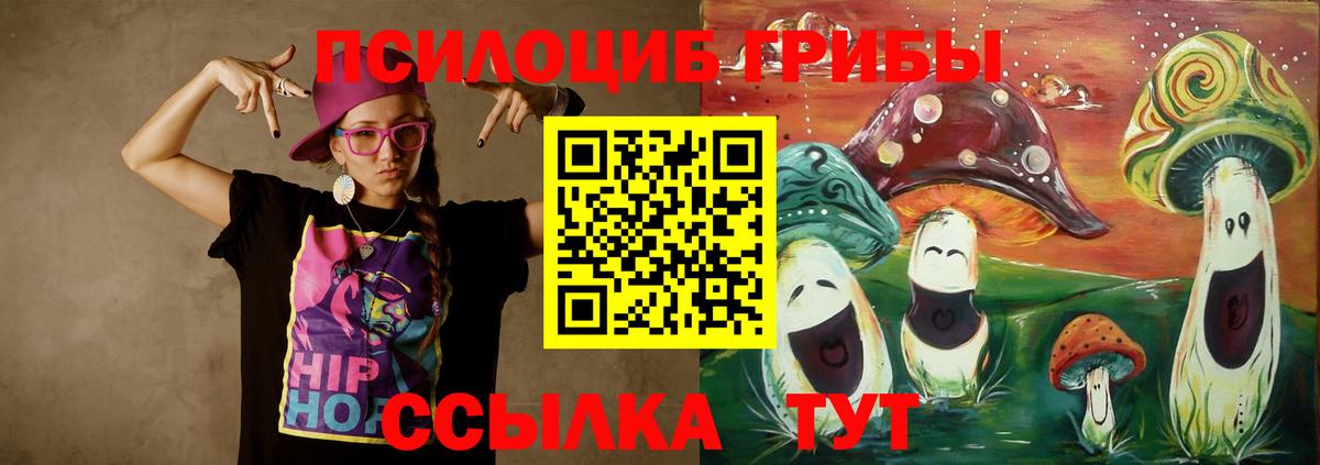 Псилоцибиновые грибы GOLDEN TEACHER Вольск